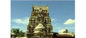 29. திருஅரிமேய விண்ணகரம்
